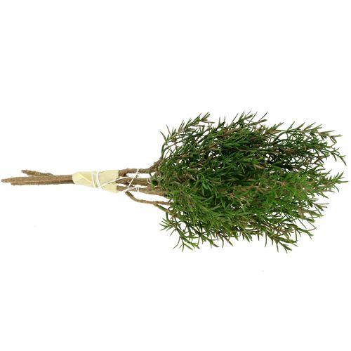 Floristik24 Rosemary branch 36cm 3pcs