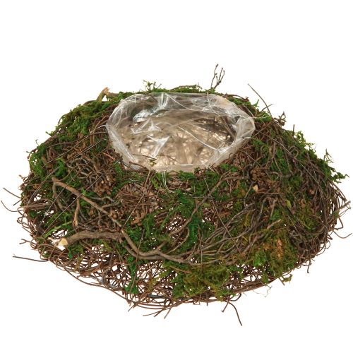 Product Round planting bowl made of grapevines with moss and foil for decoration