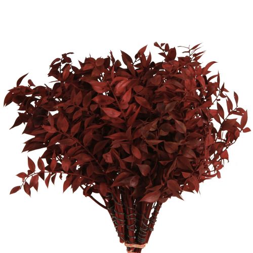 Ruscus Red on wire decorative branches dried 20cm 1 bunch