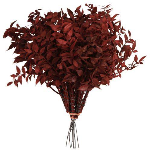 Product Ruscus Red on wire decorative branches dried 20cm 1 bunch