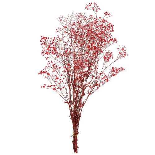 Product Gypsophila Dried Flowers Red 50cm 55g