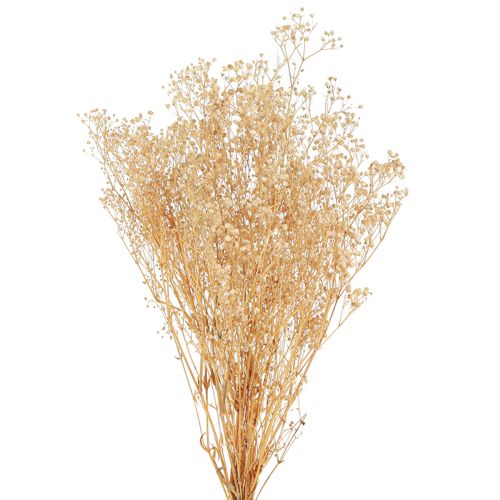 Gypsophila paniculate white flowers 50cm 55g