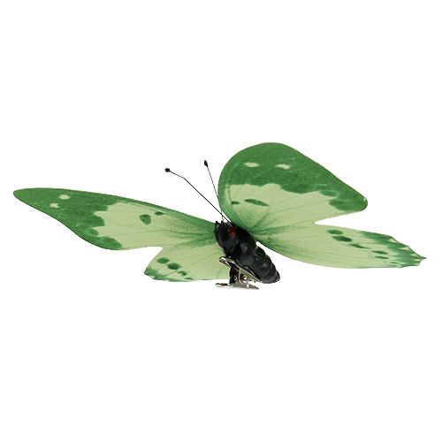 Floristik24 Butterfly green on clip 10cm - 11cm 6pcs