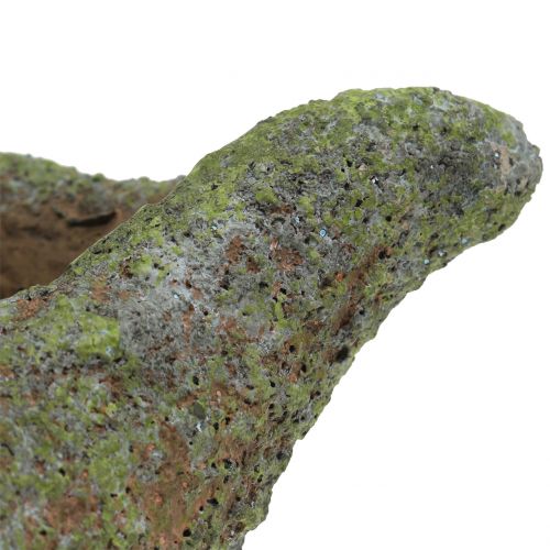 Floristik24 Shell for planting with moss 25 cm