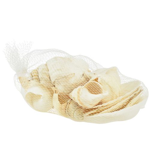 Product Snail Shell Decoration Natural White Maritime Table Decoration 350g