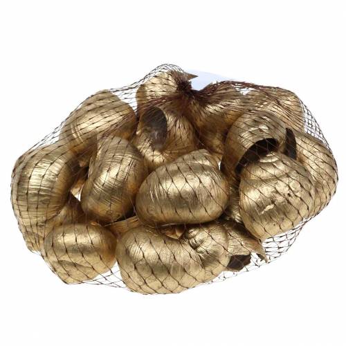 Floristik24 Snail shell Golden 24 pcs natural decoration