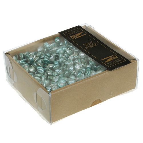 Floristik24 Snail clams blue-green 500g