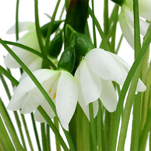 Floristik24 Snowdrop with grass ball 24cm