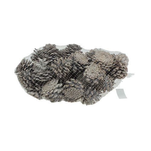 Product Black pine cones 5-9cm white washed 1kg