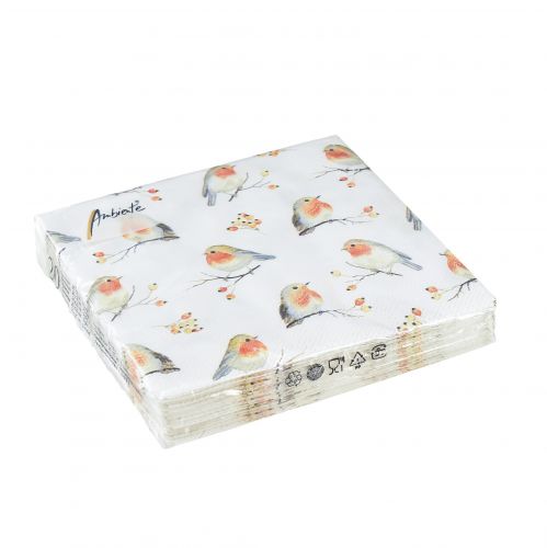 Floristik24 Napkins Autumn Robin Rosehips 25x25cm 20 pcs