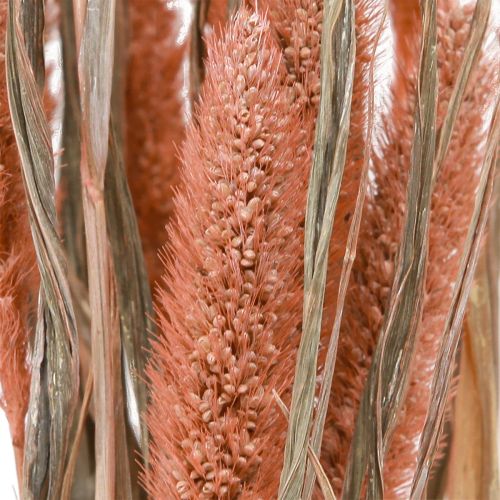 Product Setaria Bristle Millet Dry Decoration Salmon 69cm 70-75g x 2pcs