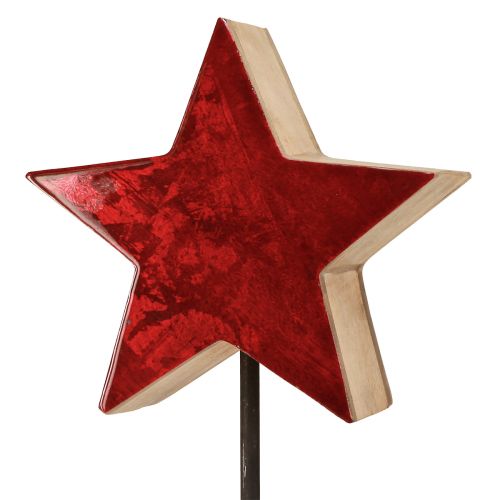 Product Star decoration natural red with stick on base 20x9.5x50cm