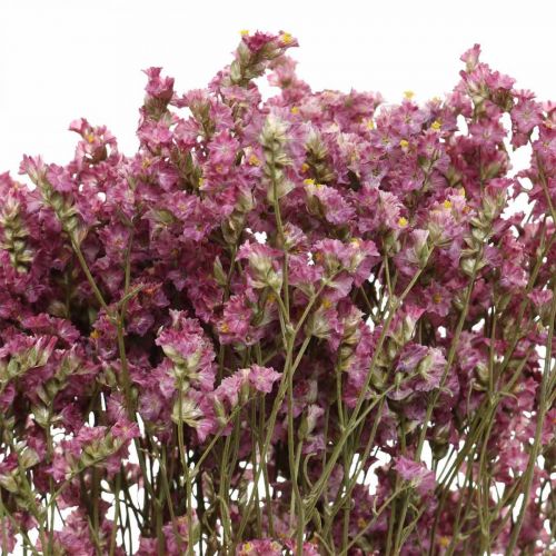 Floristik24 Statice, Sea Lavender, Dried Flower, Wildflower Bunch Pink L52cm 23g