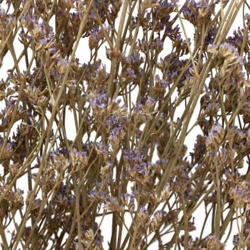 Product Beach Lilac Limonium Dried Flowers Purple 70cm 50g