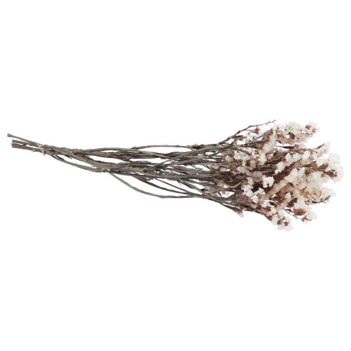 Floristik24 Beach Lilac White Limonium Dried Flowers 60cm 35g