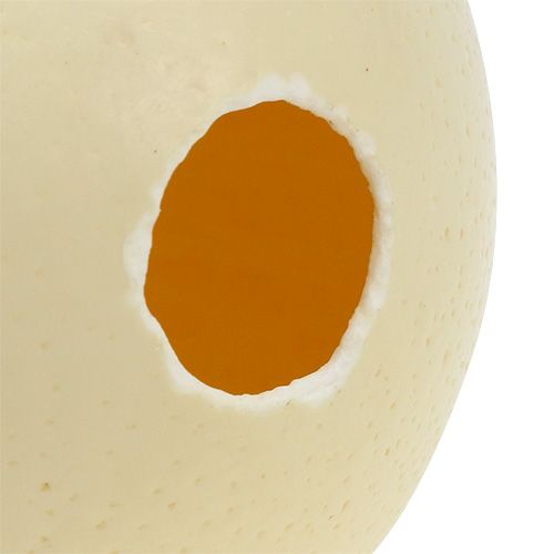 Product Ostrich egg natural blown out empty decoration