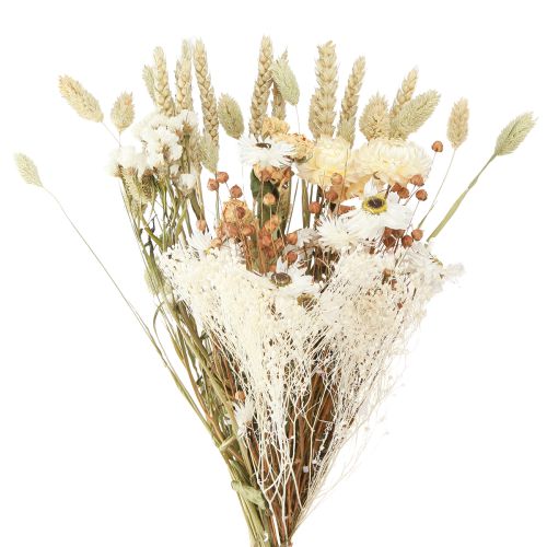 Bouquet with dried flowers straw flowers grain white 55cm