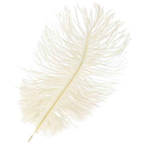 Exquisite cream-white decorative feather ostrich feather white 20-25cm 12pcs.