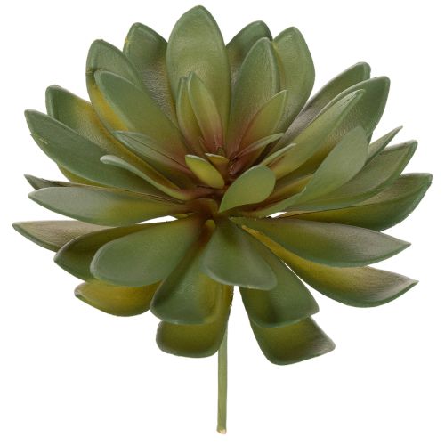 Product Artificial succulent as a decorative plant, green, 18cm, 3 pieces