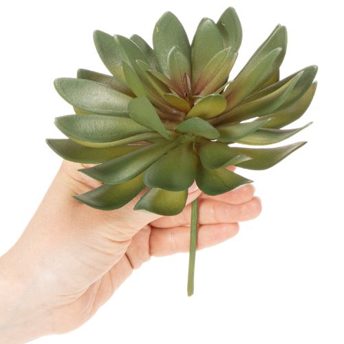 Product Artificial succulent as a decorative plant, green, 18cm, 3 pieces