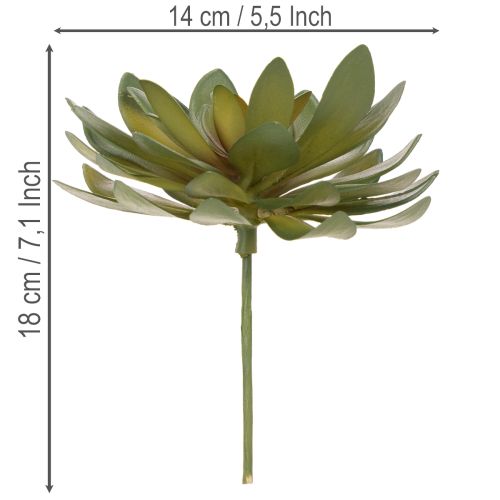 Product Artificial succulent as a decorative plant, green, 18cm, 3 pieces