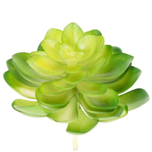 Product Artificial succulent plant, green, for decoration in a bowl or vase, 10cm, 4 pieces