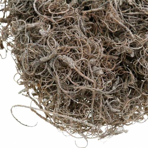 Product Natural whitewashed tamarind fiber 500g - Decorative fibers for floristry & crafts