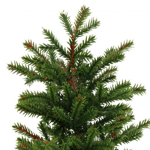 Floristik24 Fir tree in a pot green 23cm