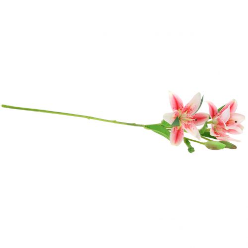 Floristik24 Tiger Lily Pink, White 60cm