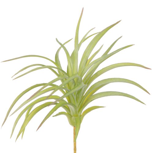 Tillandsia Green Artificial Plants with Stick Ø17cm 3pcs