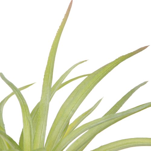 Product Tillandsia Green Artificial Plants with Stick Ø17cm 3pcs