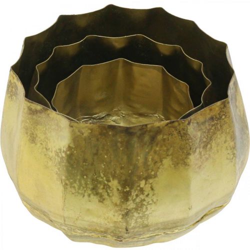 Product Decorative bowl brass metal bowl Ø22/18/14cm set of 3