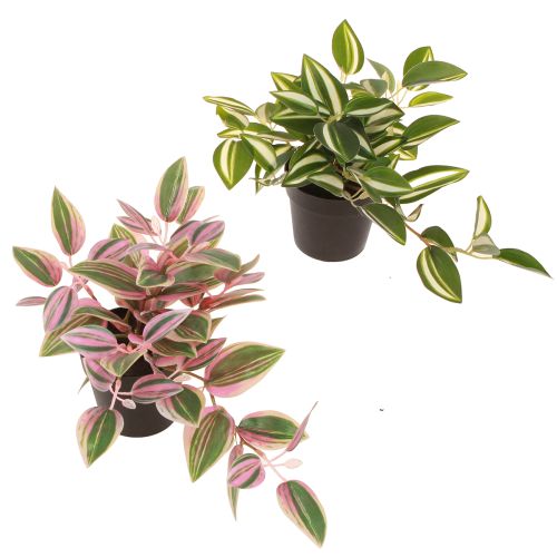 Tradescantia Artificial Green Plant in Pot H19.5cm 2pcs