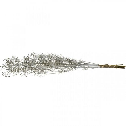 Product Dried flower Massasa whitened decorative branches 50-55cm bunch of 6 pieces