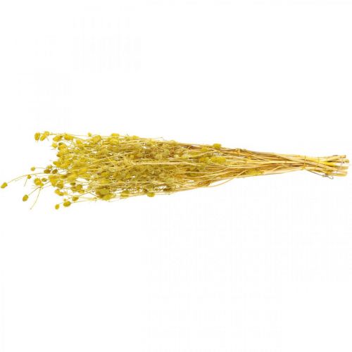 Product Dried flowers, yellow, dried thistle, strawberry thistle, 100g, decorative boho style