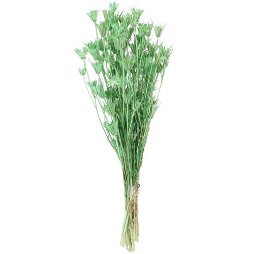 Product Dried flowers black cumin green nigella 50cm 100g