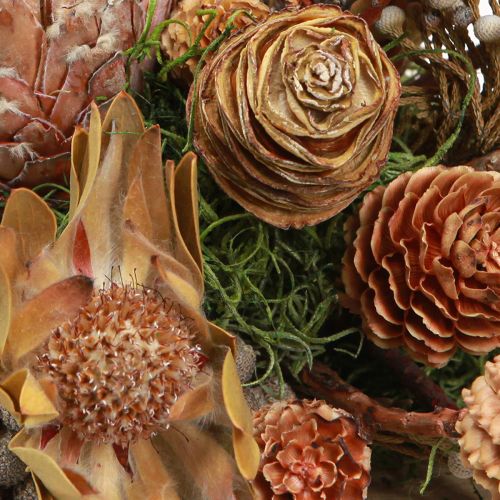 Product Dry decoration exotic protea cones Bellgum L24–48cm 580g