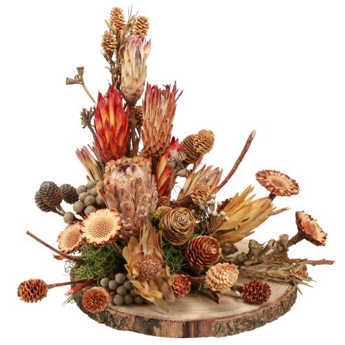 Floristik24 Dry decoration exotic protea cones Bellgum L24–48cm 580g