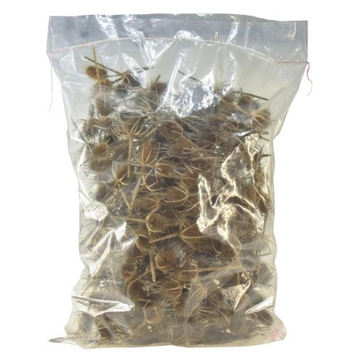 Product Dry decoration teasel thistles wild teasel natural 1kg