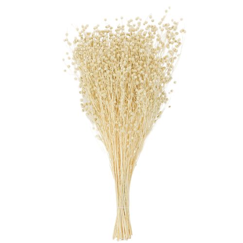 Product Dried grass flax dried natural bleached 50-55cm 180g