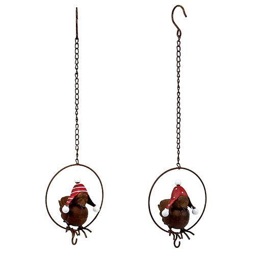 Product Bird in ring as feeding hanger Ø12.5cm L45cm 2pcs