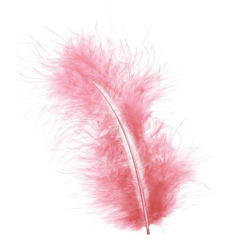 Bird Feathers Craft Feathers in Pink Spring Easter 20g