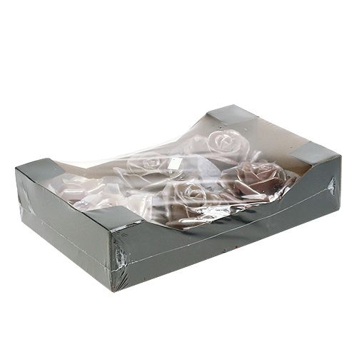 Floristik24 Wax rose champagne mix Ø10cm 6 pcs