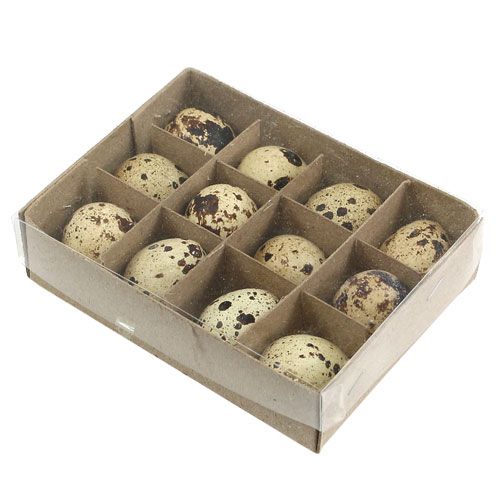 Floristik24 Quail eggs nature 3-3.5cm 12pcs