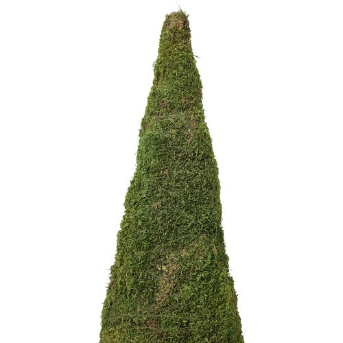 Product Christmas tree moss tree decoration in green natural Ø25cm H70cm