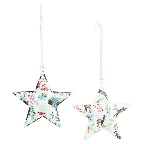 Product Christmas decoration star deer needles berries Ø8cm 6 pcs