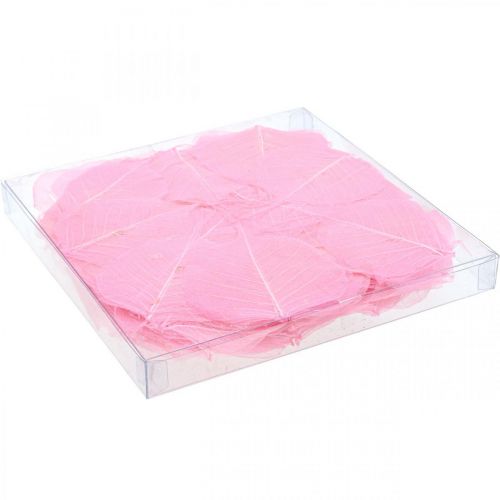 Product Skeleton leaves, pink decorative willow leaves 5-9cm, 200 pieces - Ideal for greeting cards & DIY