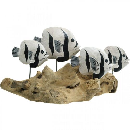 Floristik24 Decorative fish standing root wood display Maritime decoration 38cm