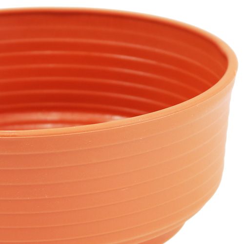 Product Z-bowl plastic Ø 16cm - 22cm 10 pcs