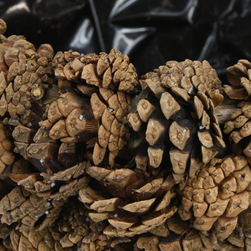 Product Cone basket plant basket pine cones natural Ø33cm H17cm